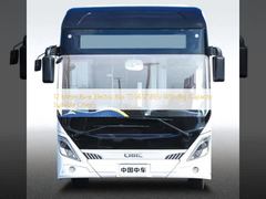 Autobus elettrico puro da 12 metri TEG6125BEV con grande capacità adatta alle città